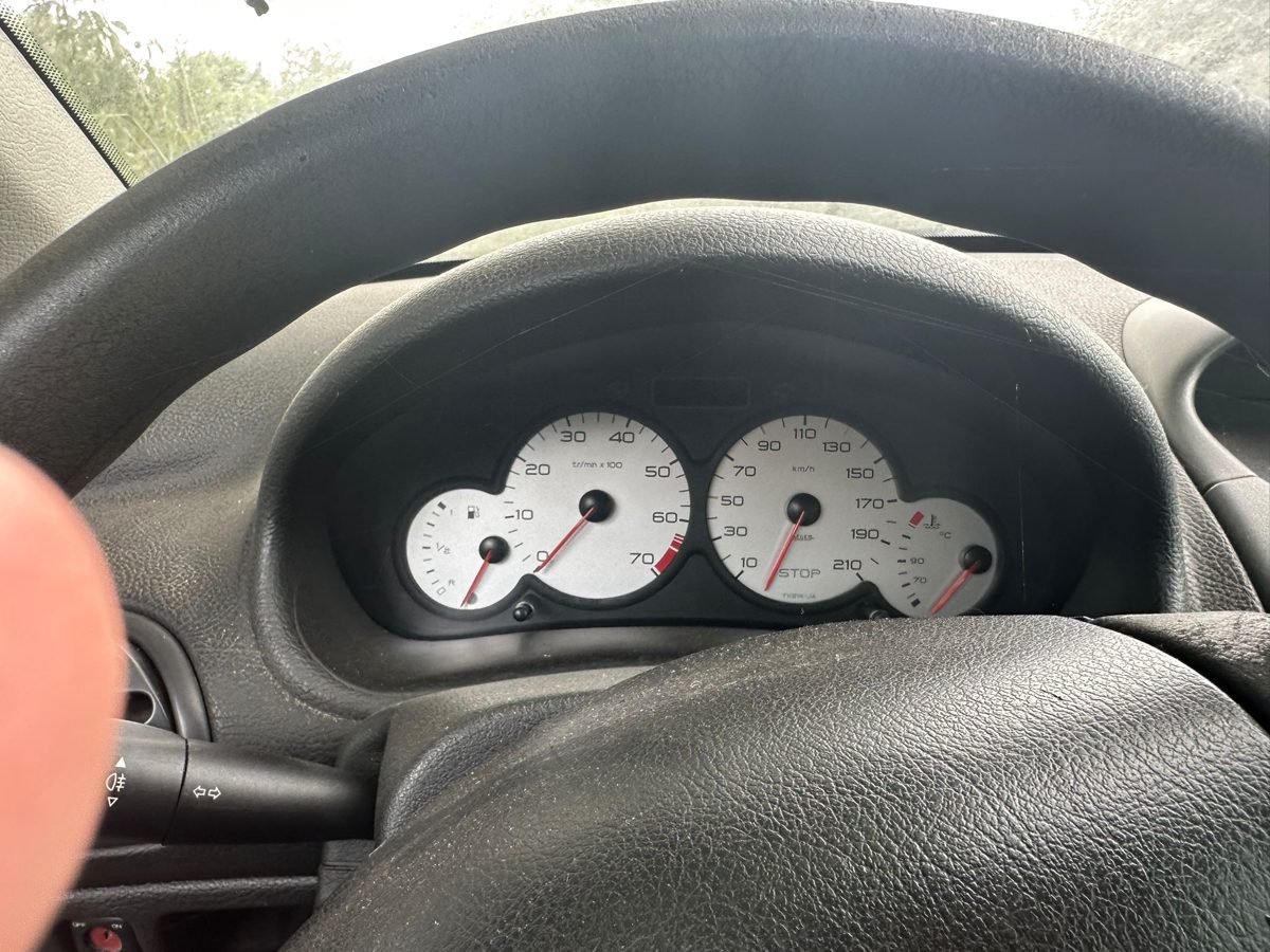 Miniatură 7
