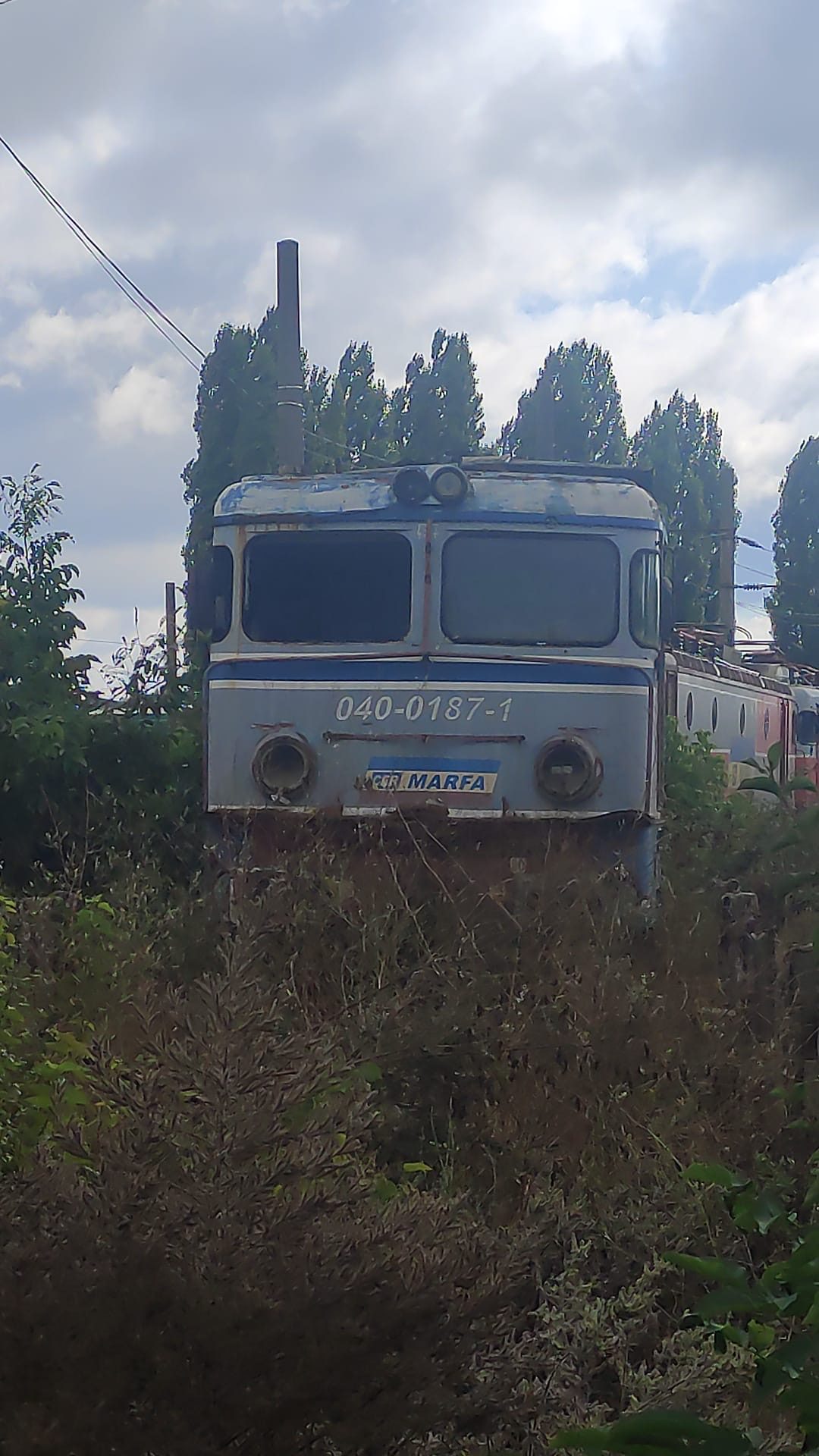 Miniatură 5