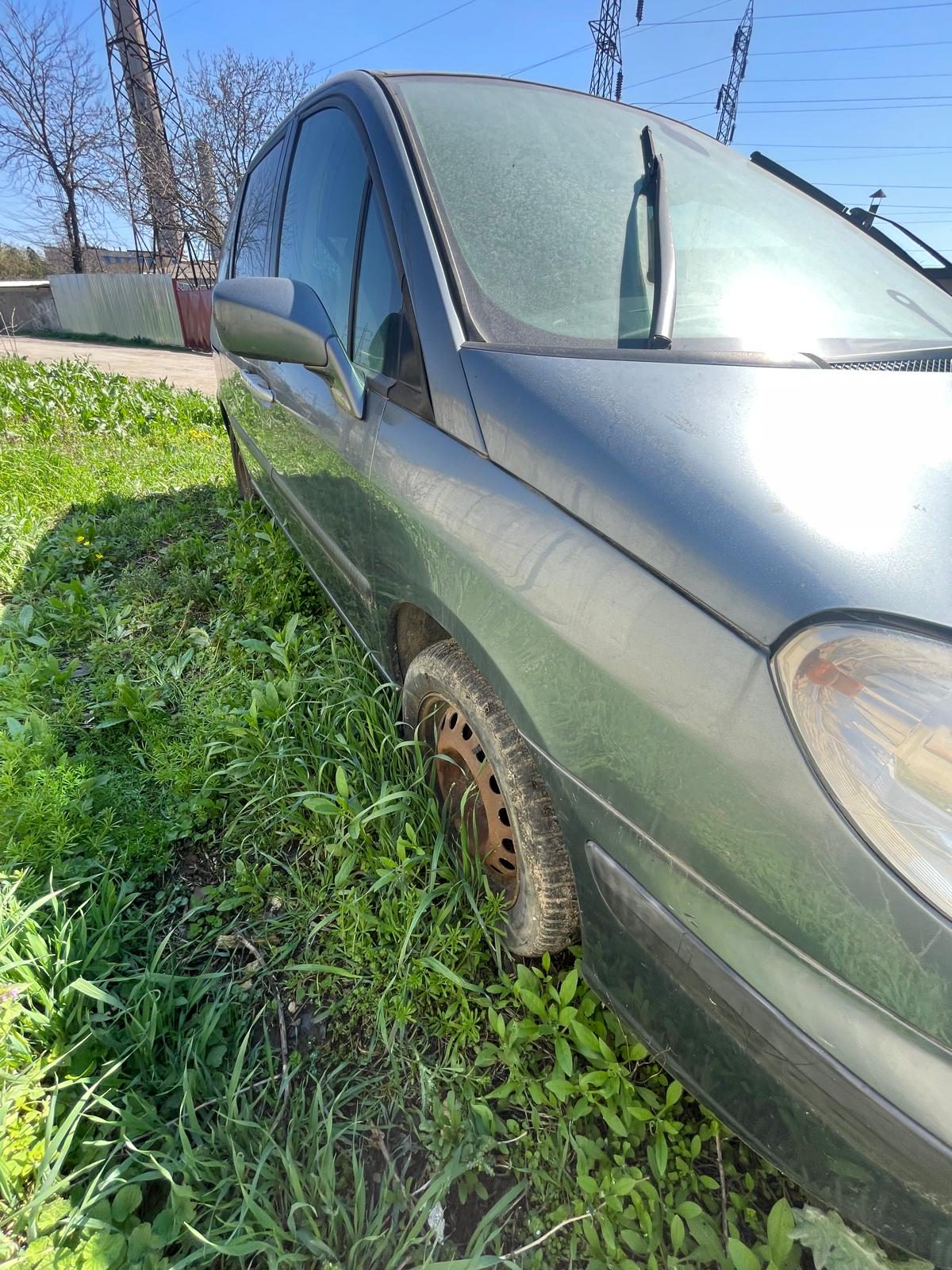 Miniatură 7