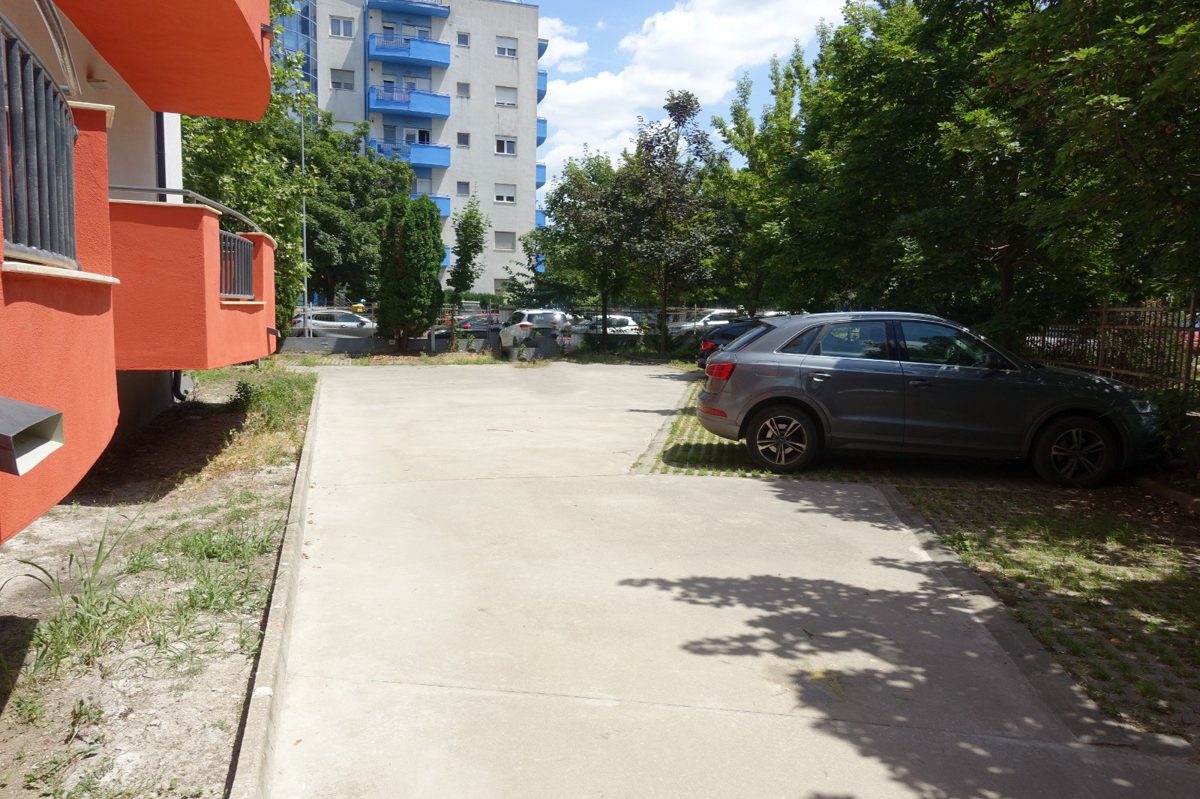 Miniatură 6