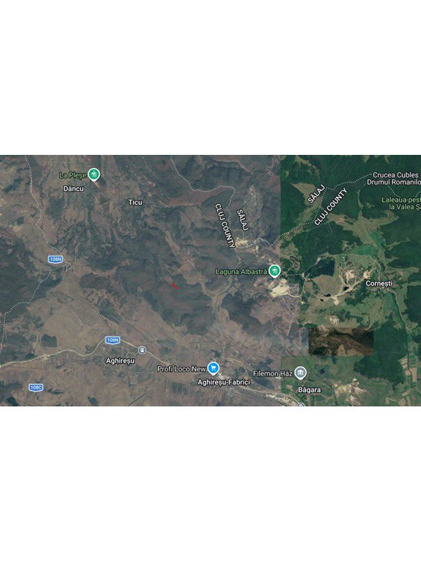 Padure - teren extravilan in suprafata de 6000 MP 1