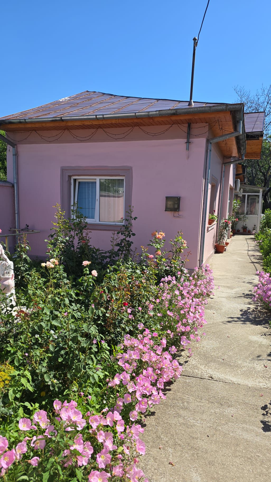 Miniatură 5