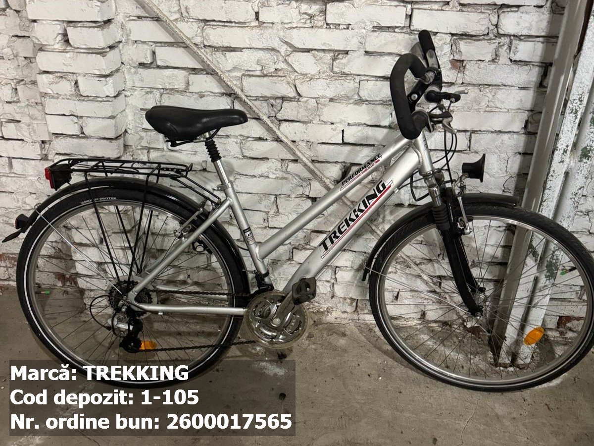 Bicicleta- Trekking 1