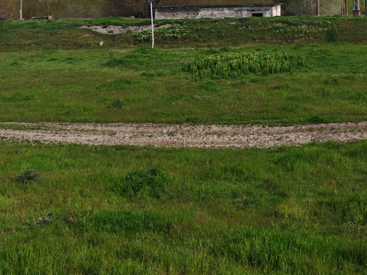Miniatură 2