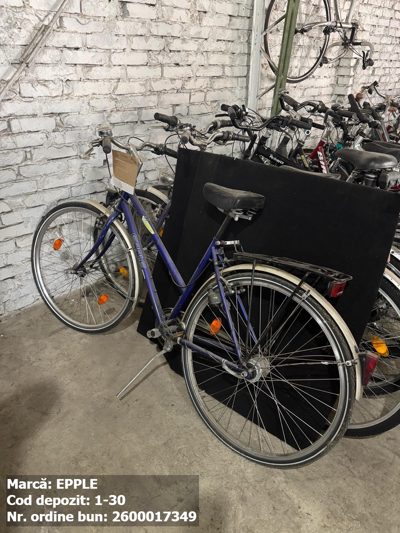 Bicicleta- Epple