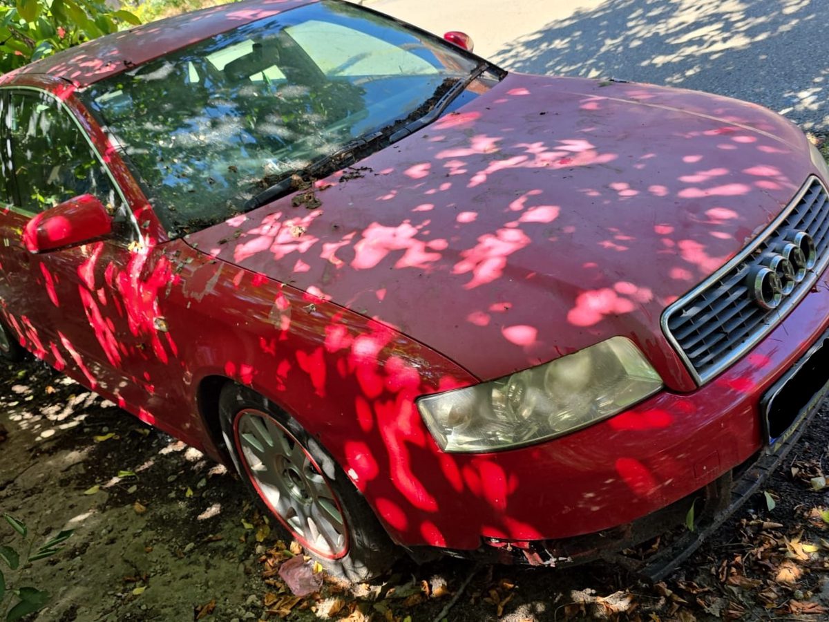 Autoturism marca AUDI model A4 1