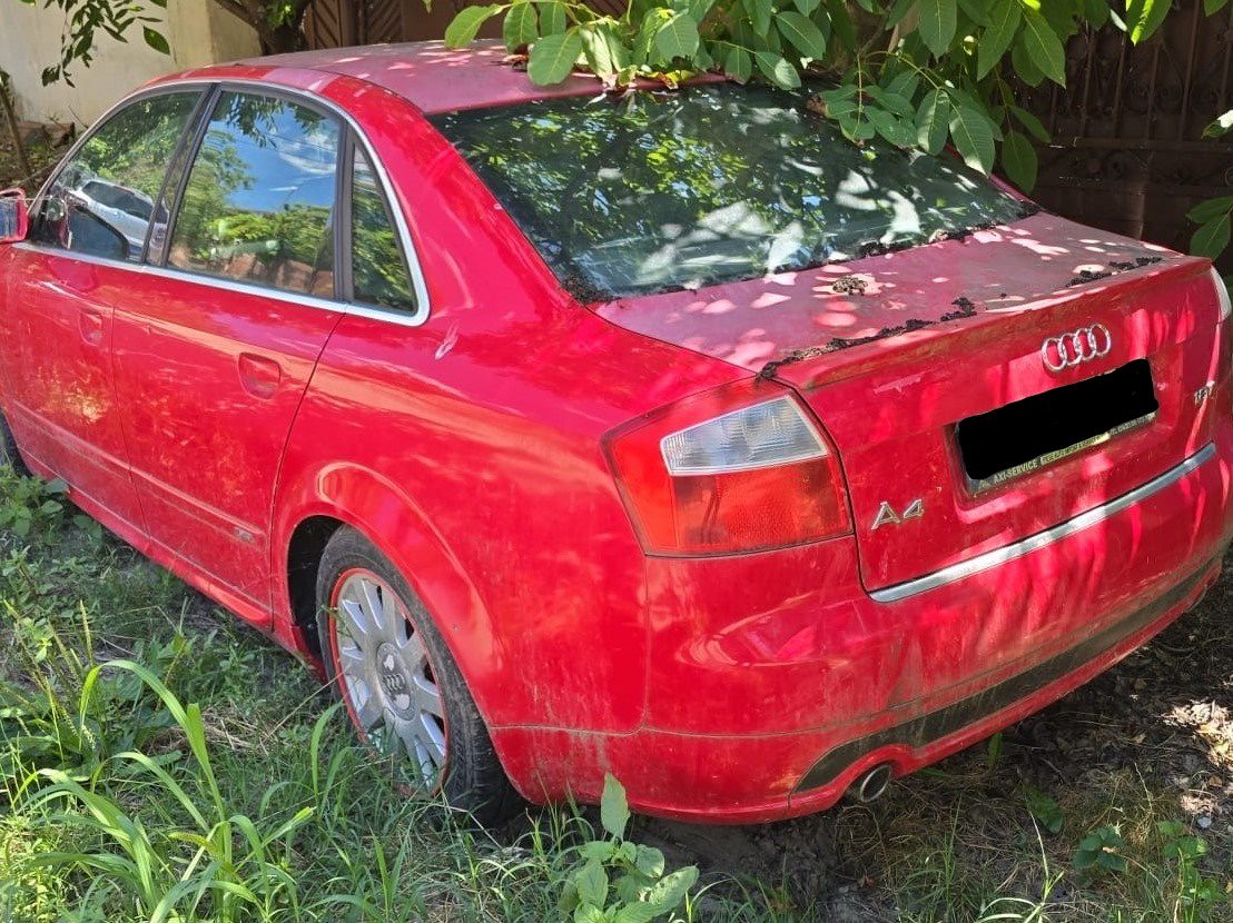 Miniatură 2
