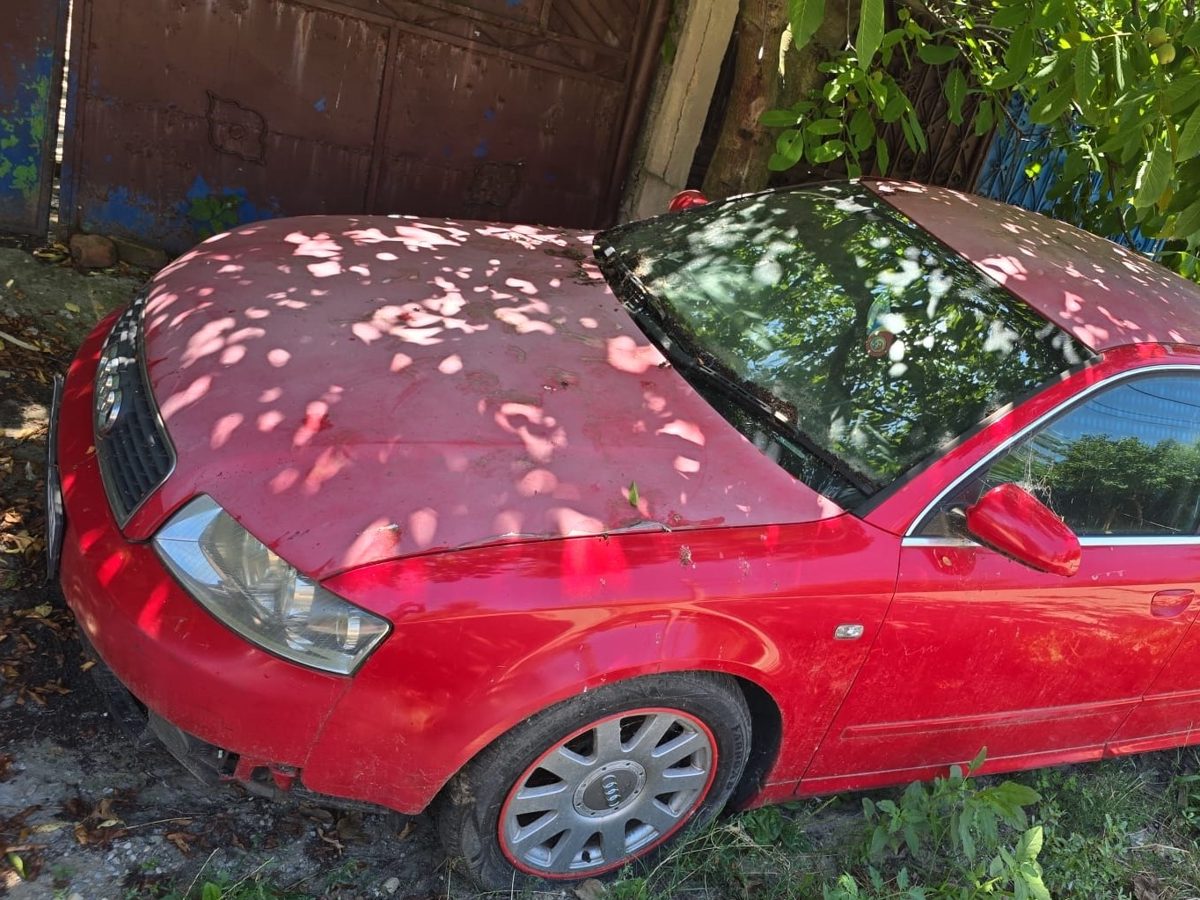 Miniatură 6