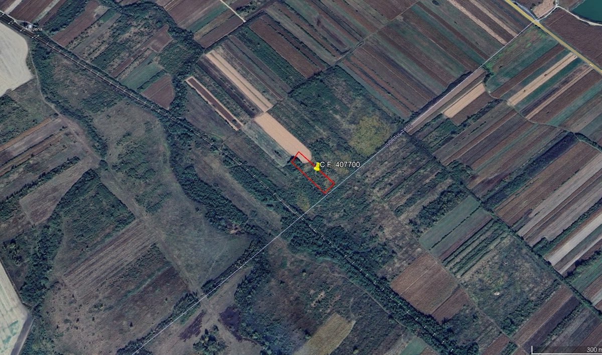 Miniatură 5