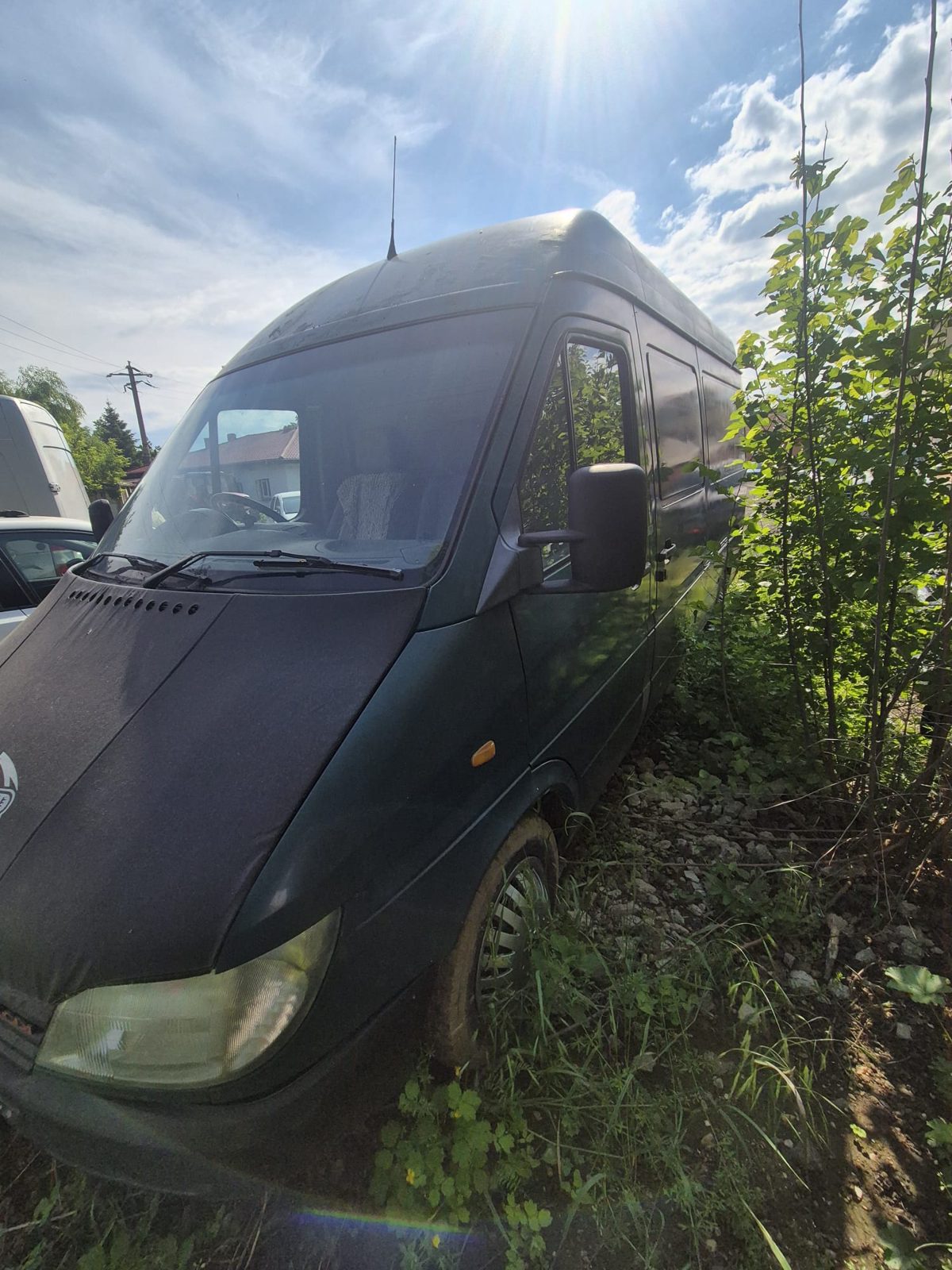 Miniatură 6