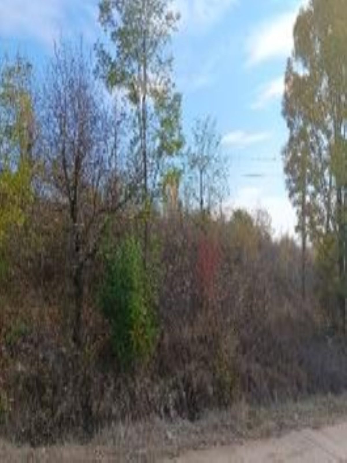 teren extravilan- neproductiv in suprafata de 6200 MP 1