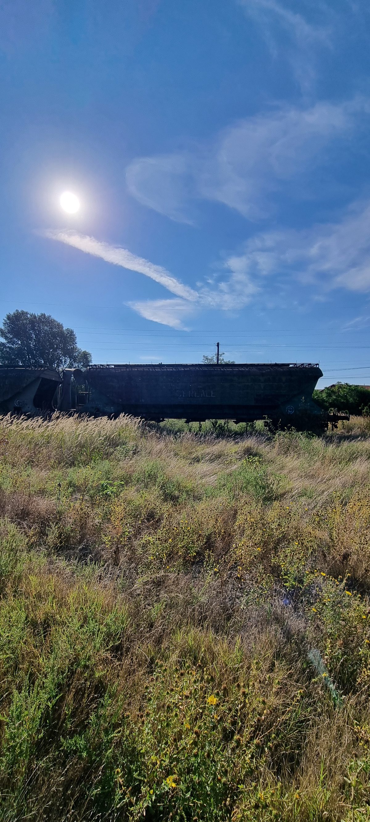 Vagon 315393353877 - Vagon marfa UAGPS (1988) 1