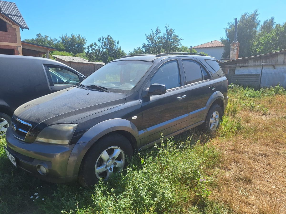 Miniatură 3