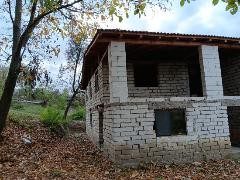 Miniatură 5