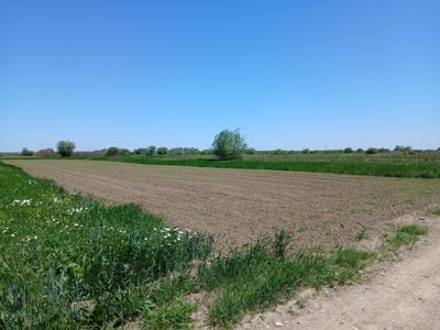Teren agricol - extravilan in suprafata de 1800 MP
