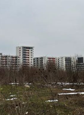 Miniatură 3