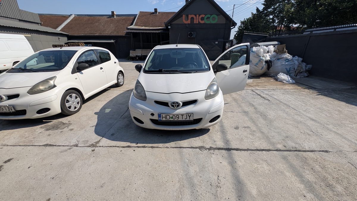 Miniatură 3
