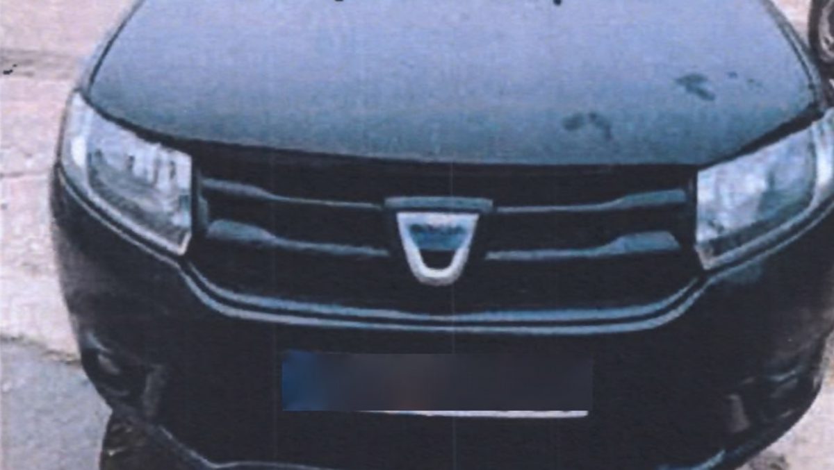 Miniatură 3