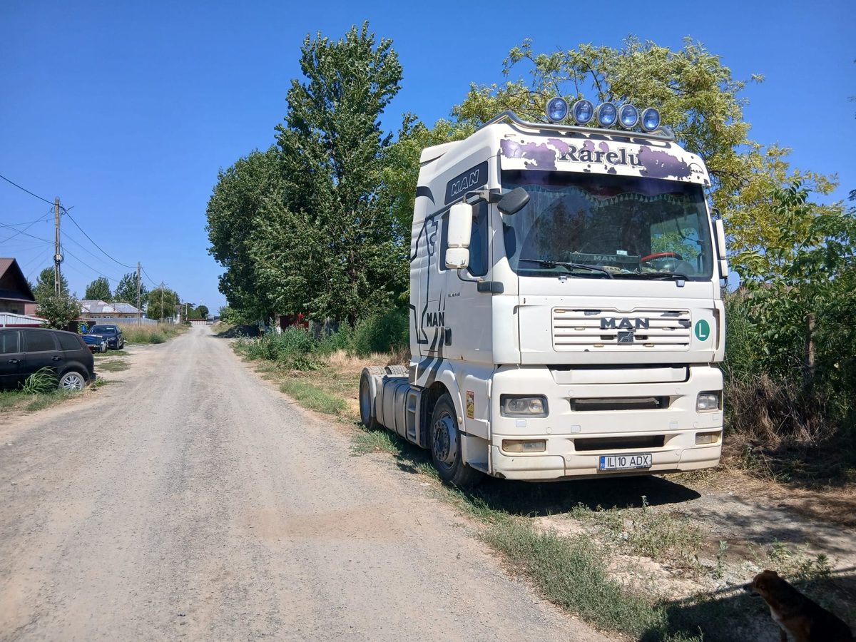 Miniatură 3
