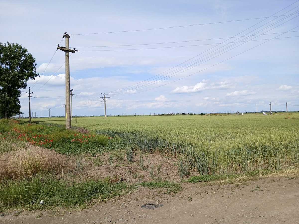 teren extravilan arabil, 2445 mp, com. Bordei Verde 1