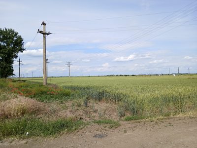 teren extravilan arabil, 2445 mp, com. Bordei Verde