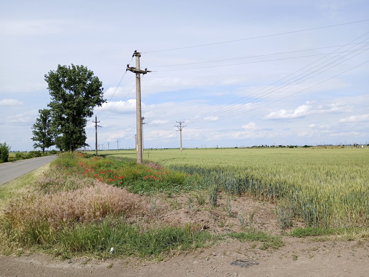 Miniatură 2