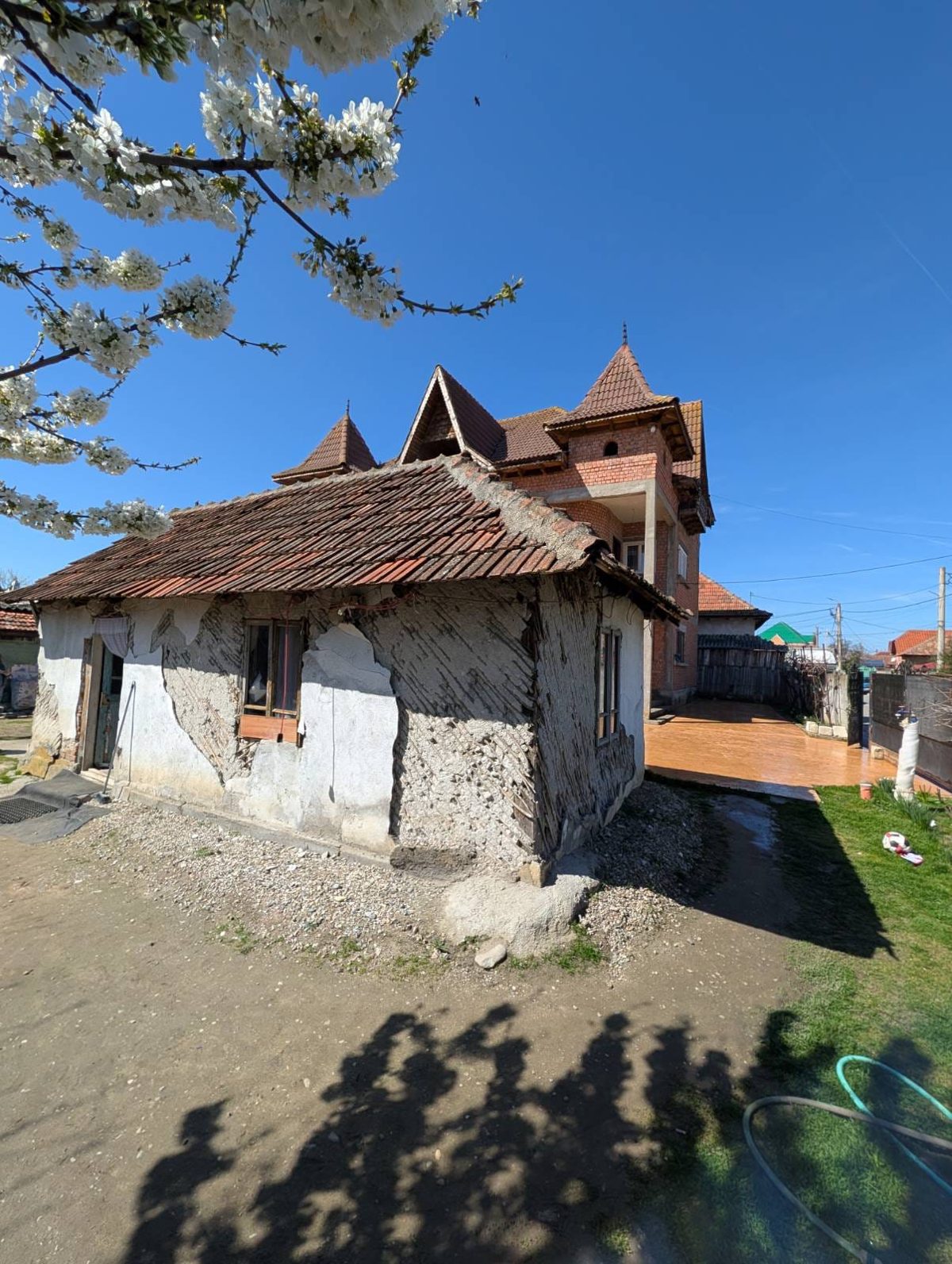 Miniatură 10