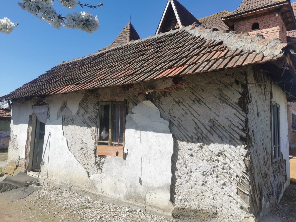 Miniatură 3
