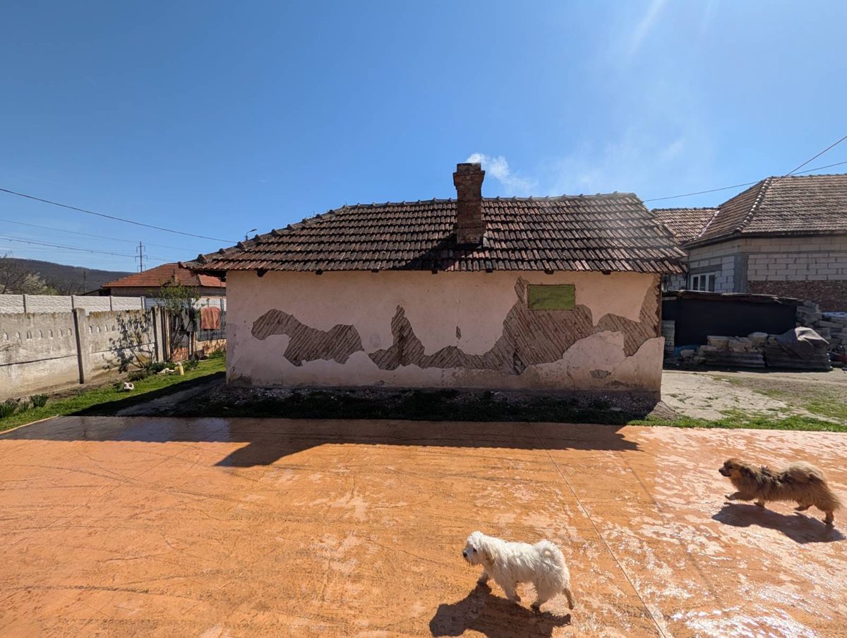 Miniatură 5