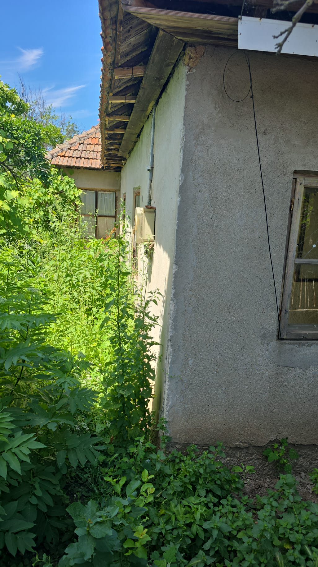 Miniatură 8