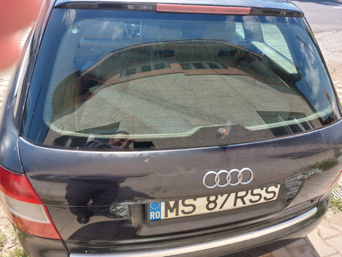 Miniatură 2