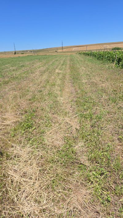 Teren extravilan agricol