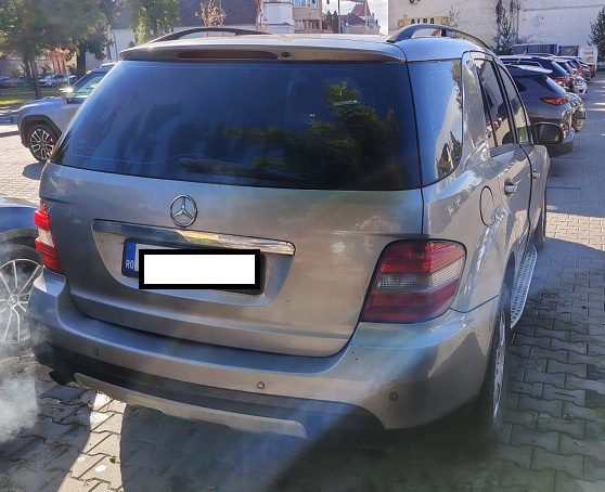 Miniatură 12