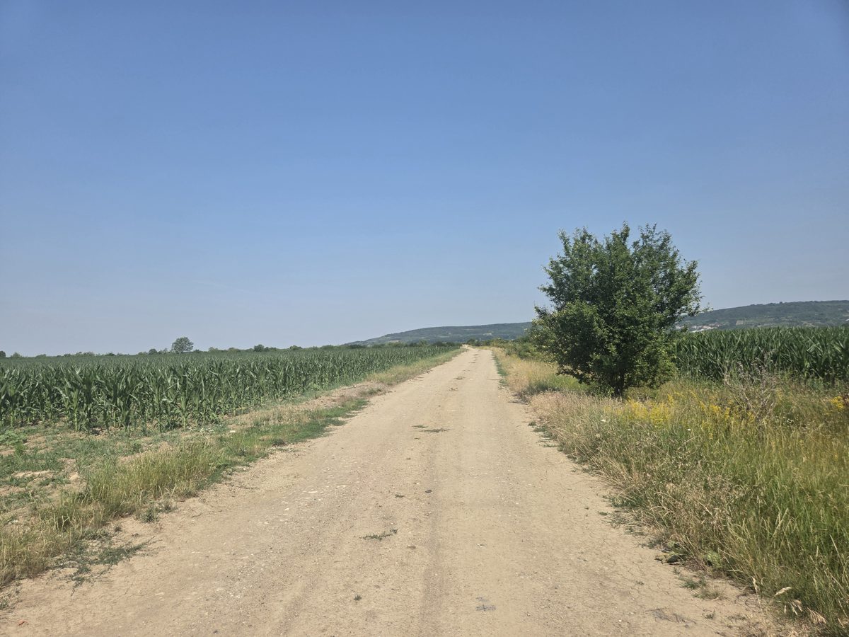 Miniatură 4