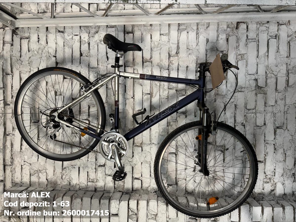 Bicicleta- Alex 1