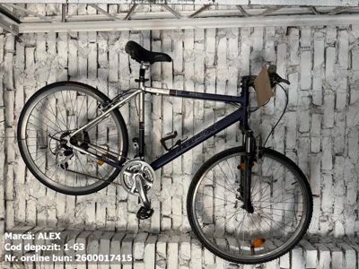Bicicleta- Alex