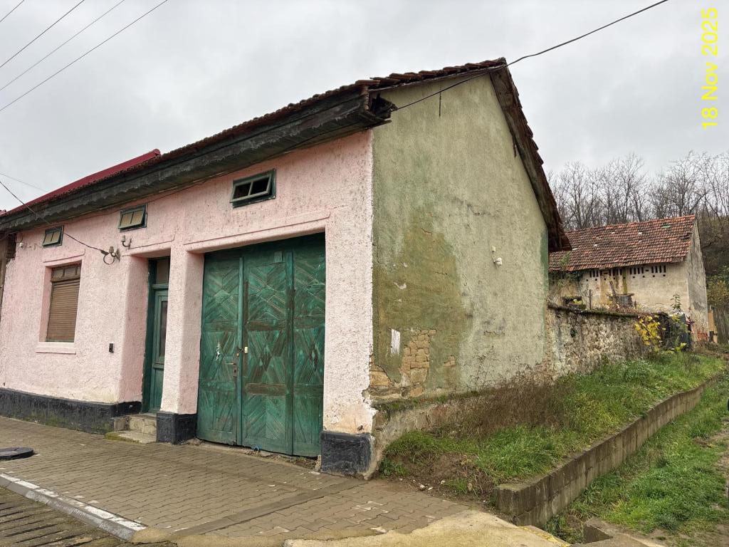 Miniatură 5
