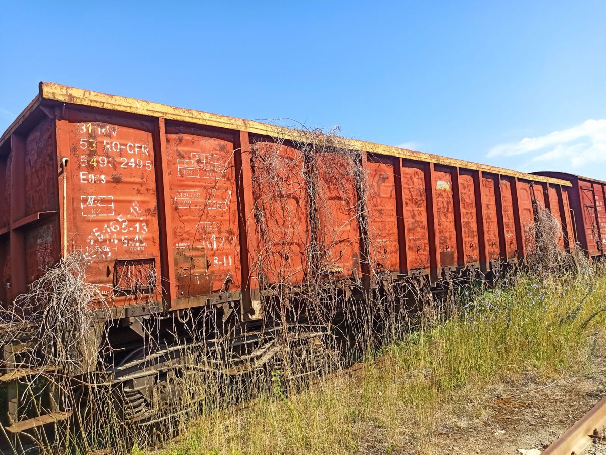 Miniatură 3