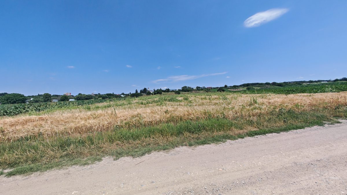 Teren construibil - in suprafata de 4000 MP 1