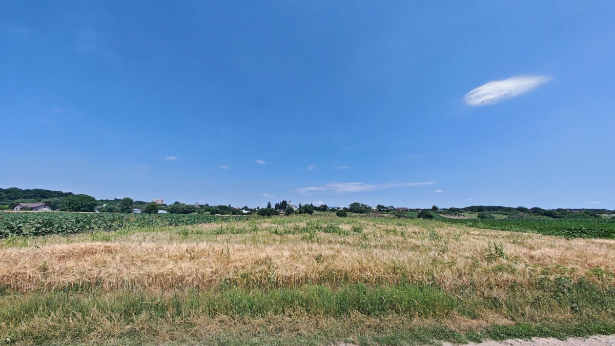 Miniatură 2