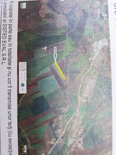 Teren agricol - in suprafata de 10000 MP