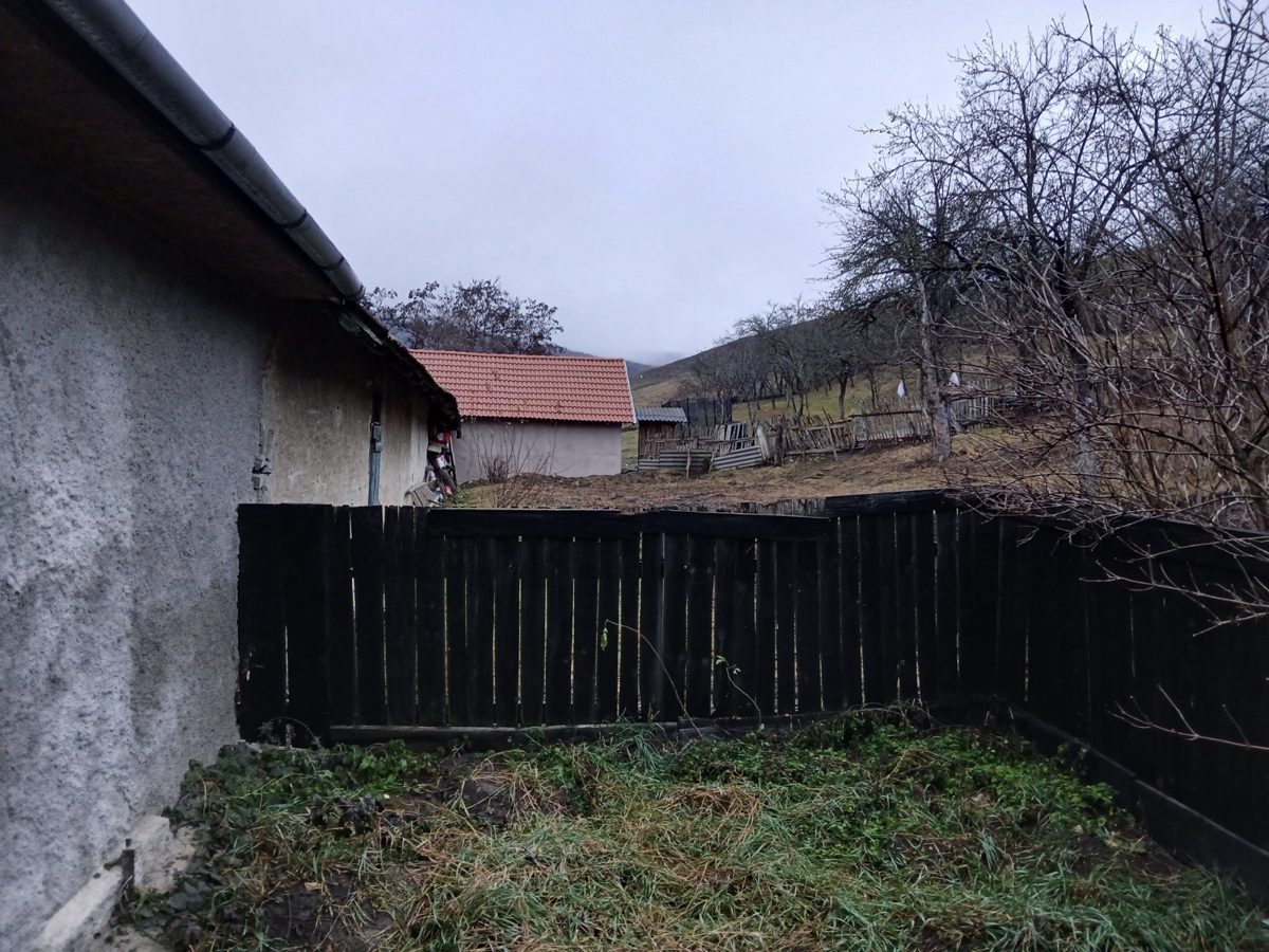 Miniatură 3