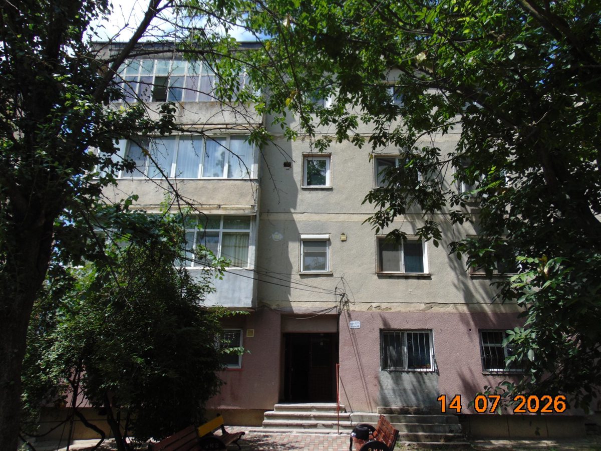 Miniatură 5
