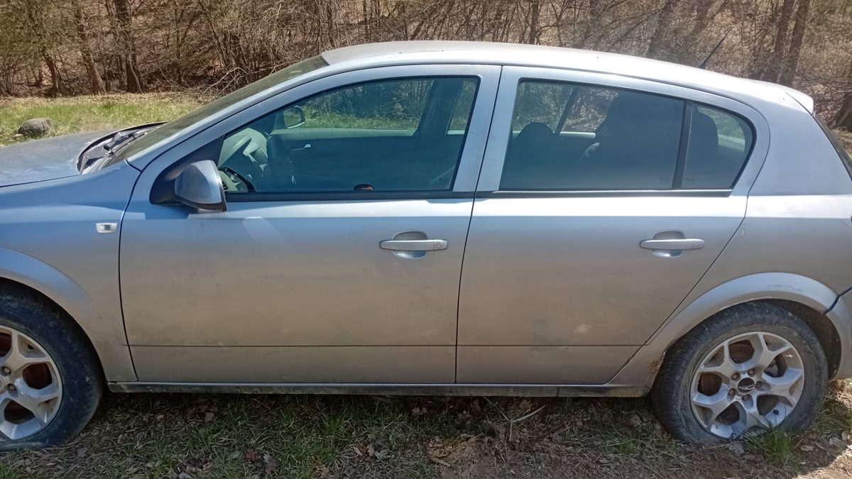 Miniatură 3