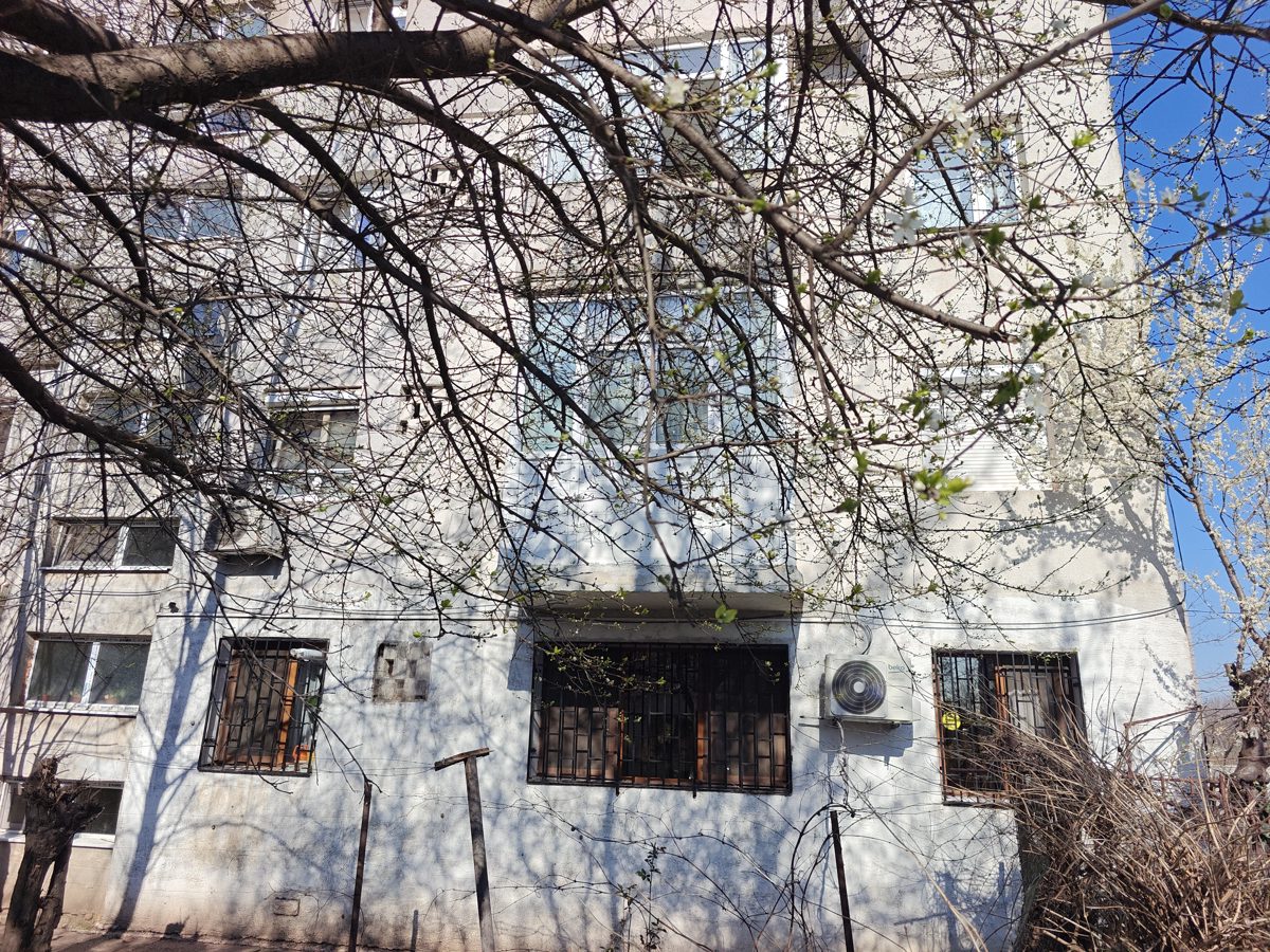 Miniatură 5