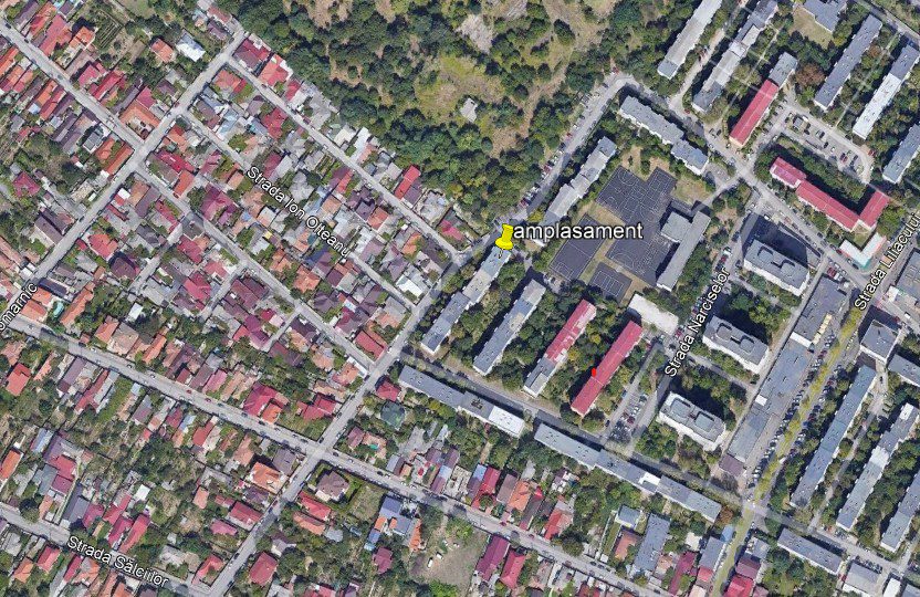 Miniatură 8