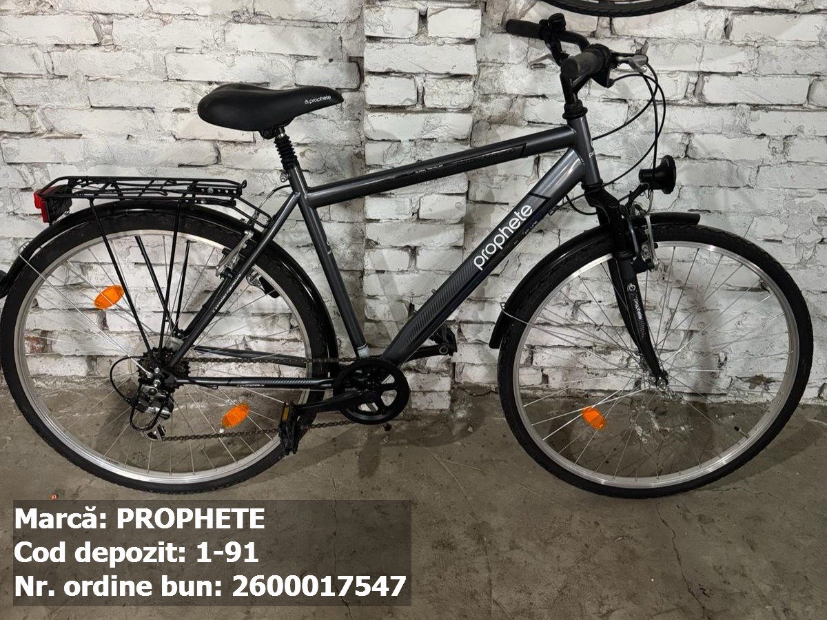 Bicicleta- Prophete 1
