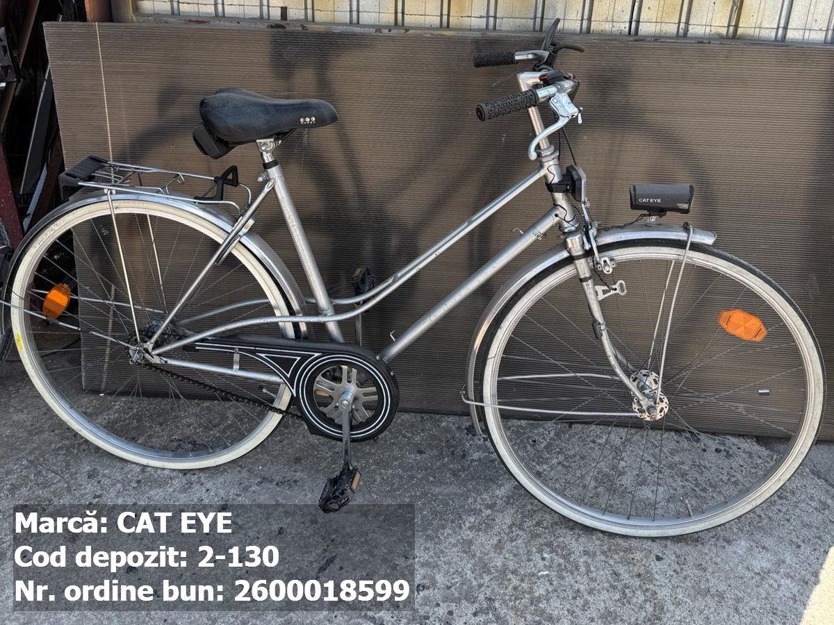 Bicicleta- Cat Eye 1
