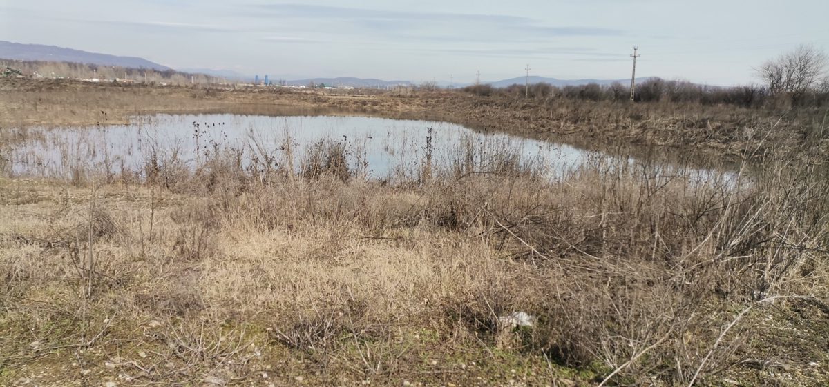 Miniatură 2