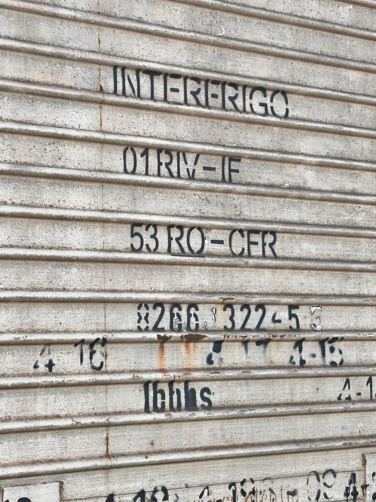 Miniatură 3